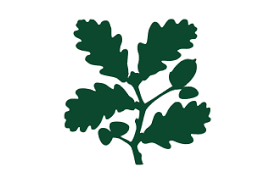 Oak